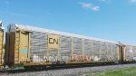 CN 6105 (Body) TTGX 979615 (Flat)